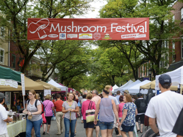 世界蘑菇之都本周末将举办第39届蘑菇节